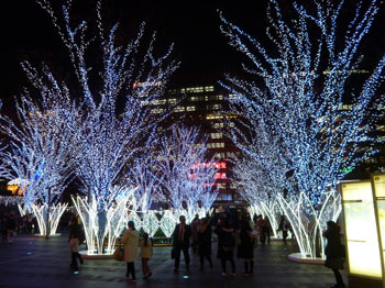 博多駅前のクリスマスイルミネーション